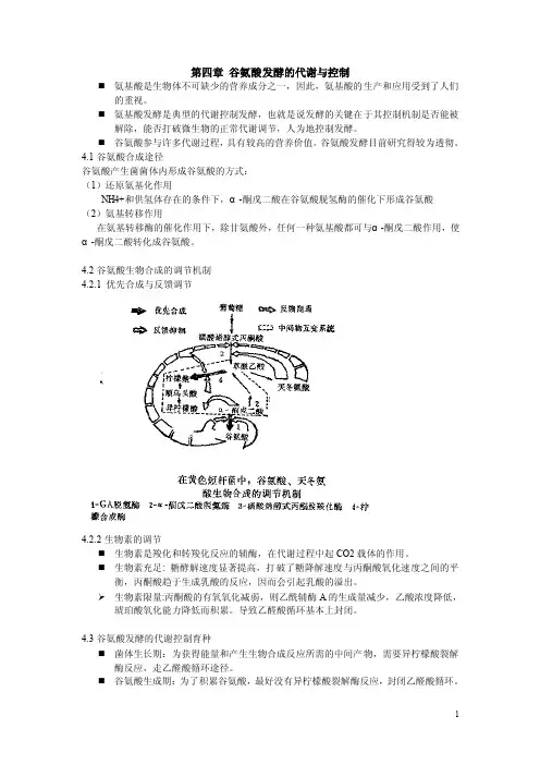 第四章谷氨酸发酵的代谢与控制