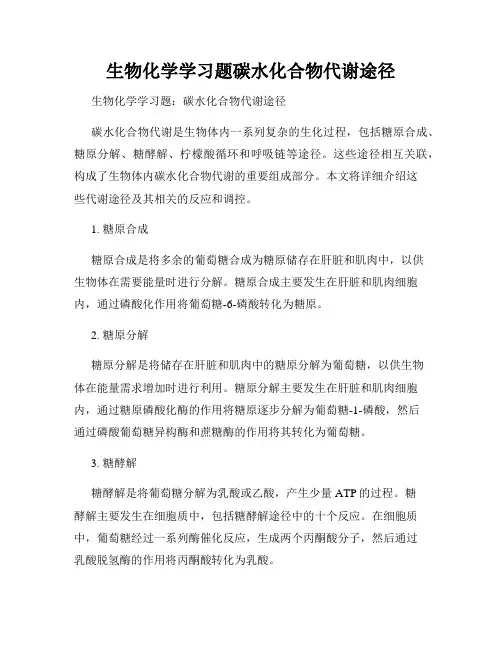 生物化学学习题碳水化合物代谢途径