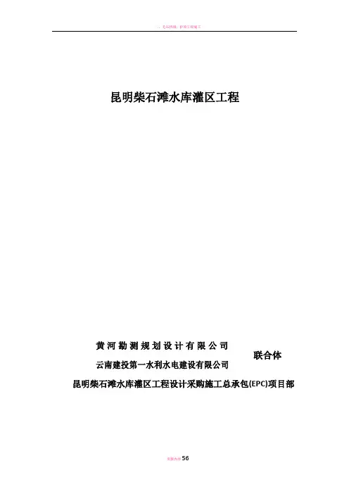 引水隧洞专项施工方案