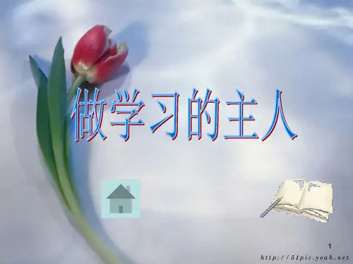 主题班会-做学习的主人ppt课件