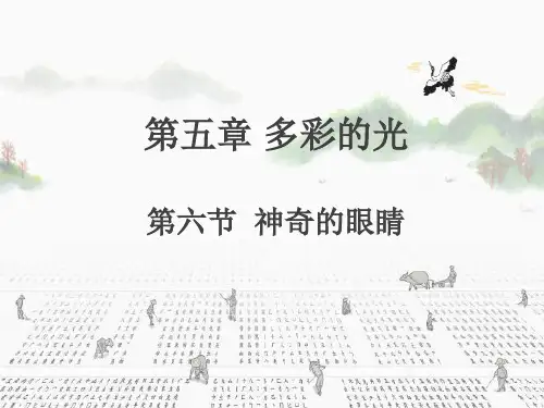 4.6神奇的眼睛课件PPT沪科版八年级全一册物理