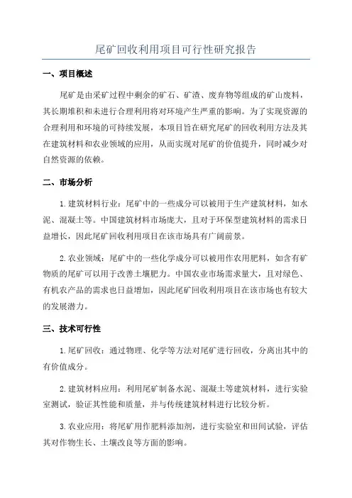 尾矿回收利用项目可行性研究报告