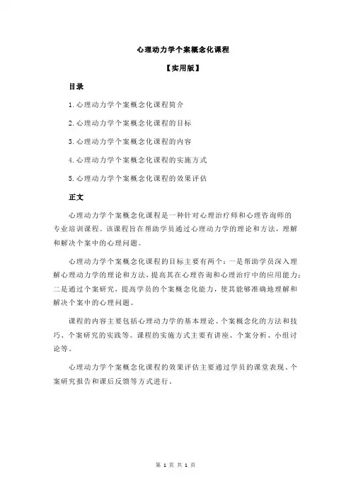 心理动力学个案概念化课程