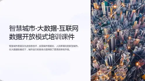 智慧城市-大数据-互联网数据开放模式培训课件