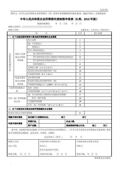 所得税年度B类报表(核定征收企业用)