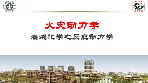 燃烧化学之反应动力学