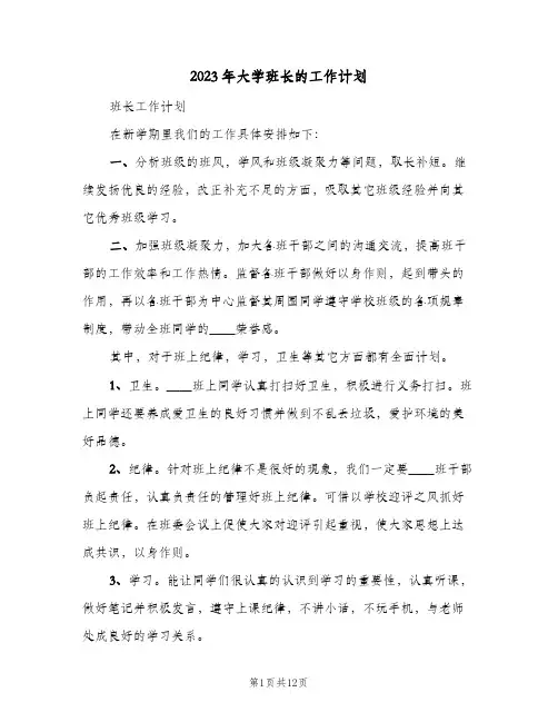 2023年大学班长的工作计划(2篇)