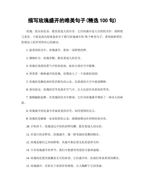 描写玫瑰盛开的唯美句子(精选100句)