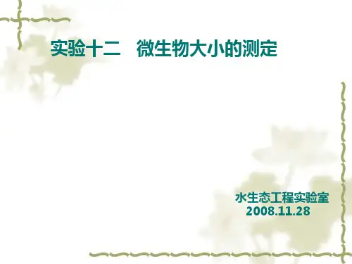 实验十二微生物大小测定