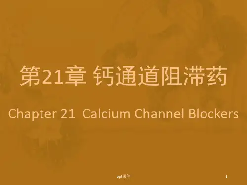 钙通道阻滞药  ppt课件