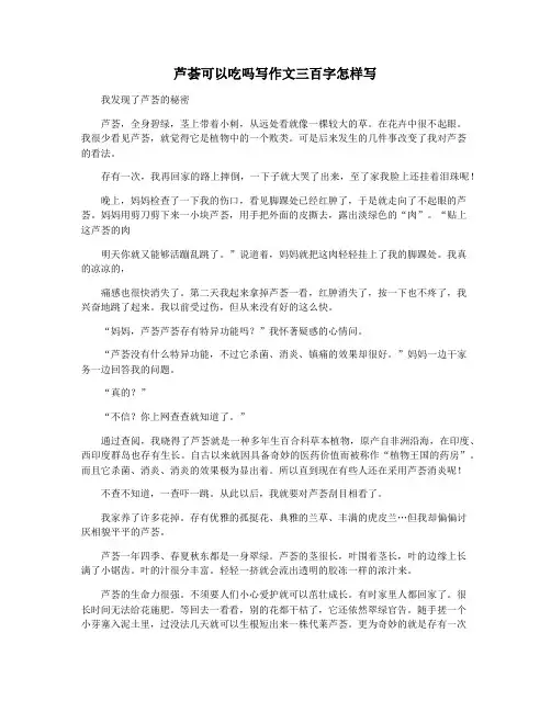 芦荟可以吃吗写作文三百字怎样写