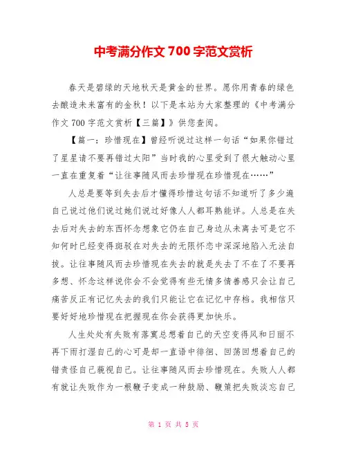 中考满分作文700字范文赏析