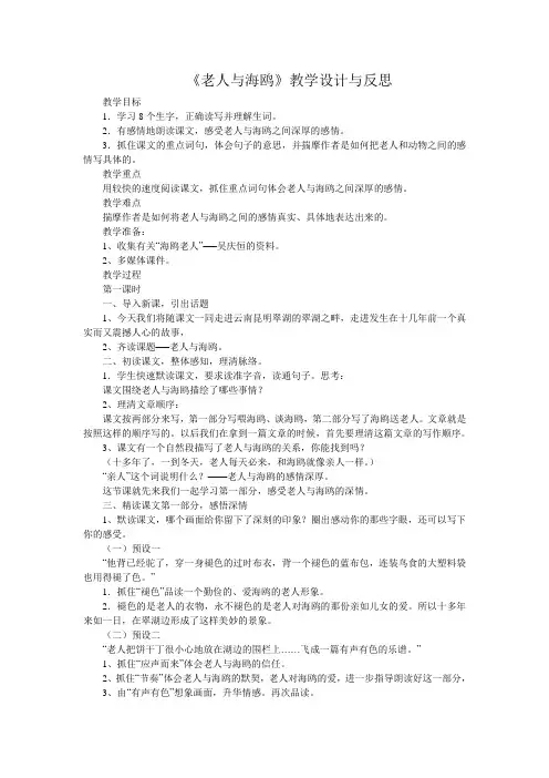 《老人与海鸥》教学设计与反思