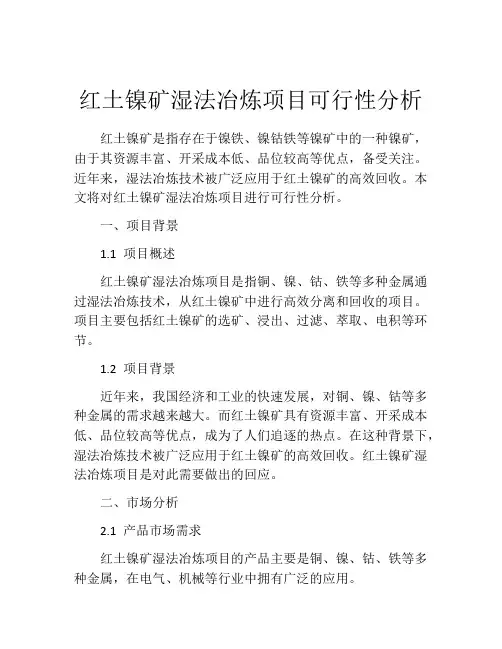 红土镍矿湿法冶炼项目可行性分析