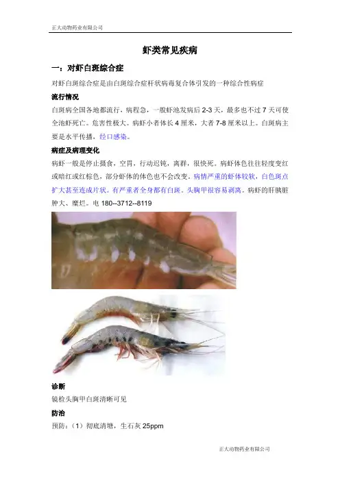 虾类常见疾病及治疗方案