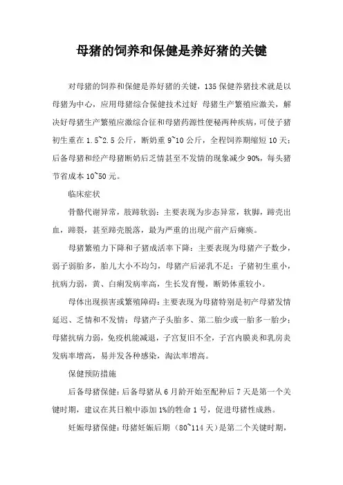 母猪饲养和保健是养好猪关键