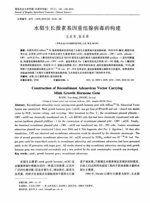 水貂生长激素基因重组腺病毒的构建