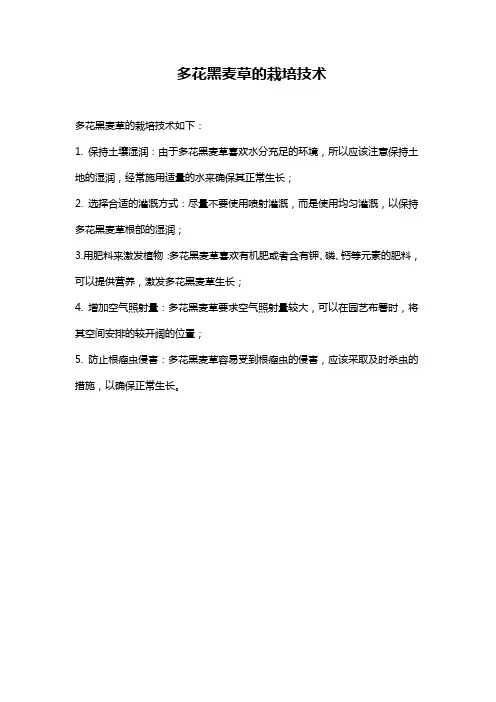 多花黑麦草的栽培技术