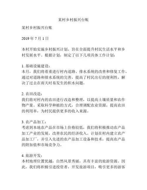 某村乡村振兴台账
