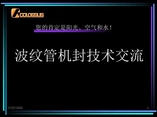 波纹管机封技术交流