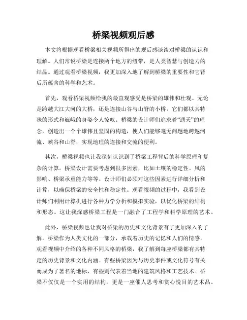 桥梁视频观后感