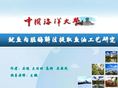 挑战杯答辩PPT鱿鱼内脏酶解法提取鱼油工艺研究ppt