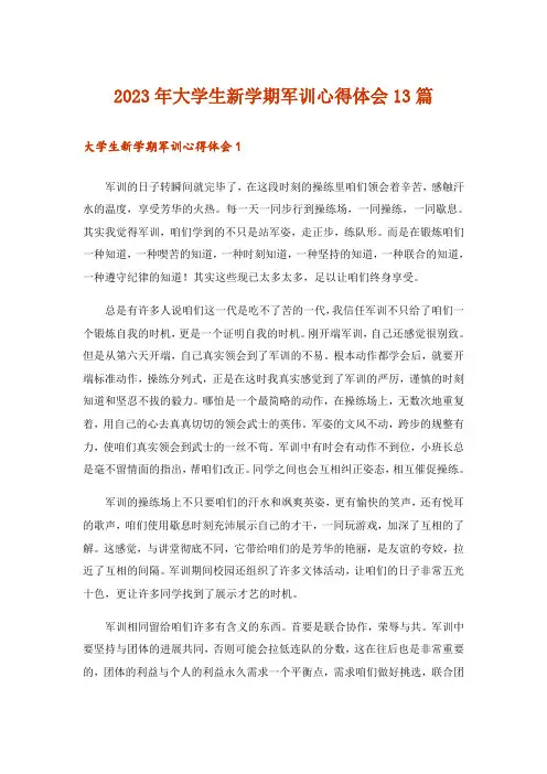 2023年大学生新学期军训心得体会13篇_1