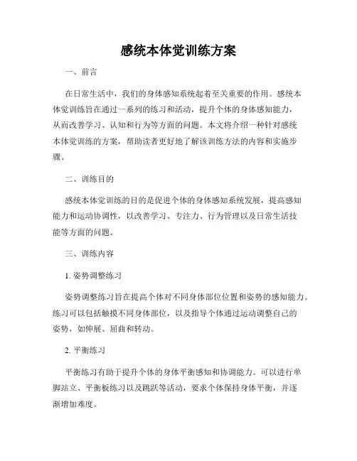 感统本体觉训练方案