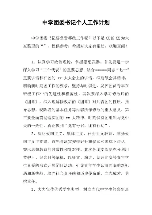 中学团委书记个人工作计划