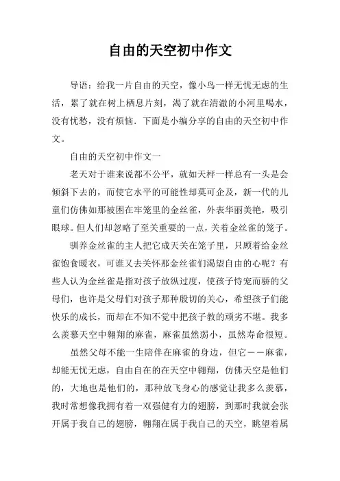 自由的天空初中作文