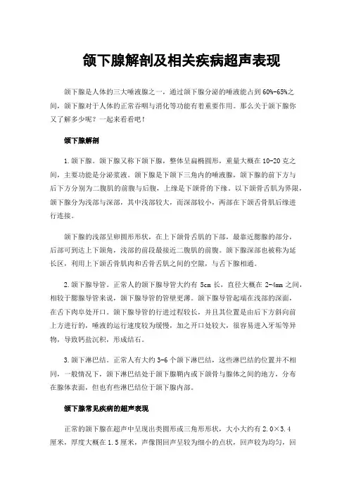 颌下腺解剖及相关疾病超声表现