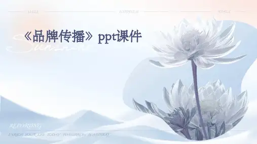 《品牌传播》课件