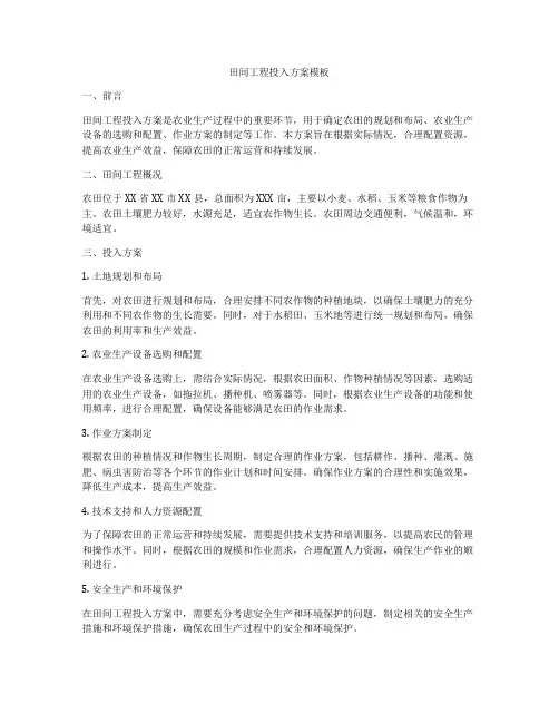 田间工程投入方案模板