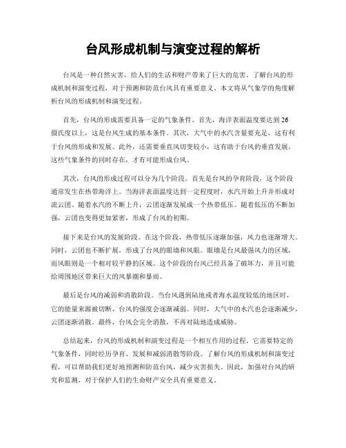 台风形成机制与演变过程的解析
