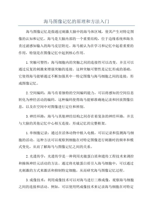 海马图像记忆的原理和方法入门