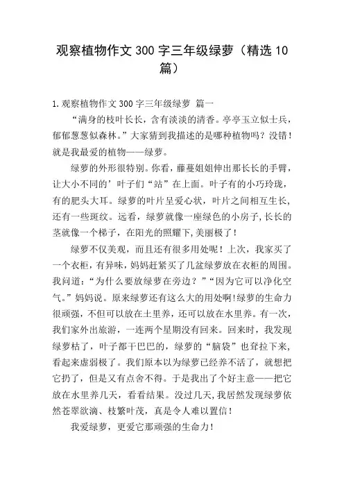 观察植物作文300字三年级绿萝(精选10篇)