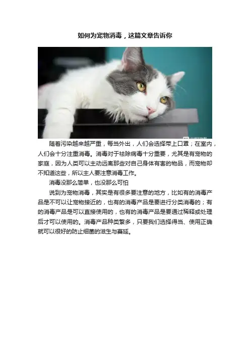 如何为宠物消毒，这篇文章告诉你