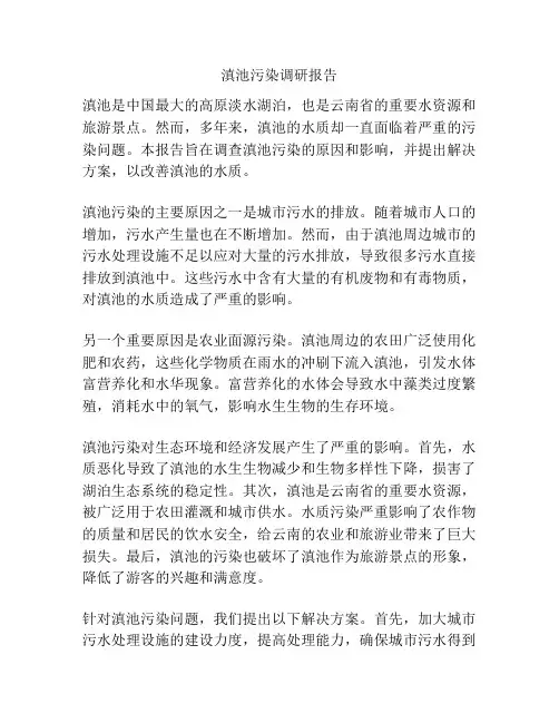 滇池污染调研报告