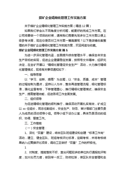 煤矿企业精细化管理工作实施方案