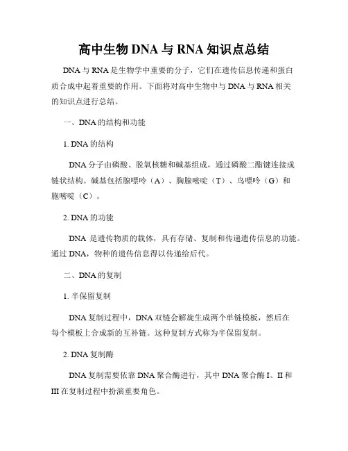 高中生物DNA与RNA知识点总结