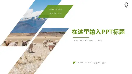 通用高端唯美矢量静态创业融资ppt模板