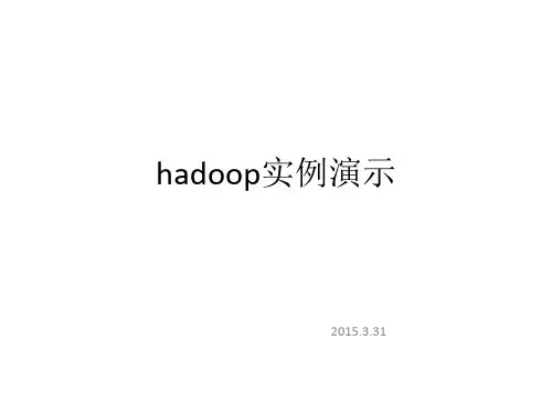 hadoop实例运行