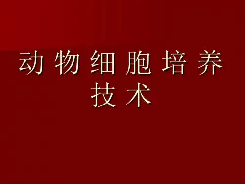 动物细胞培养技术