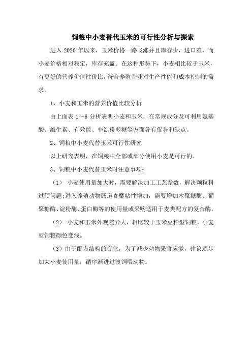 饲粮中小麦替代玉米的可行性分析与探索