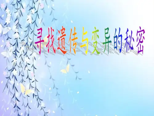 六年级科学下册寻找遗传与变异的秘密