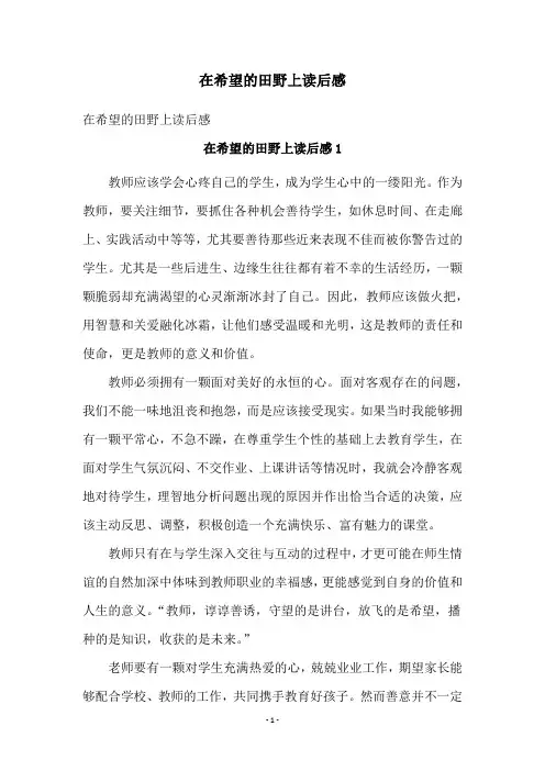 在希望的田野上读后感