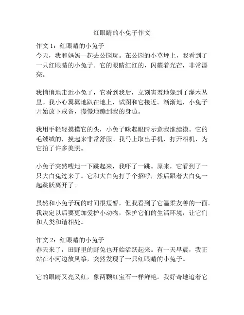 红眼睛的小兔子作文