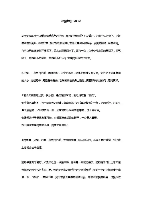 小猫简介50字