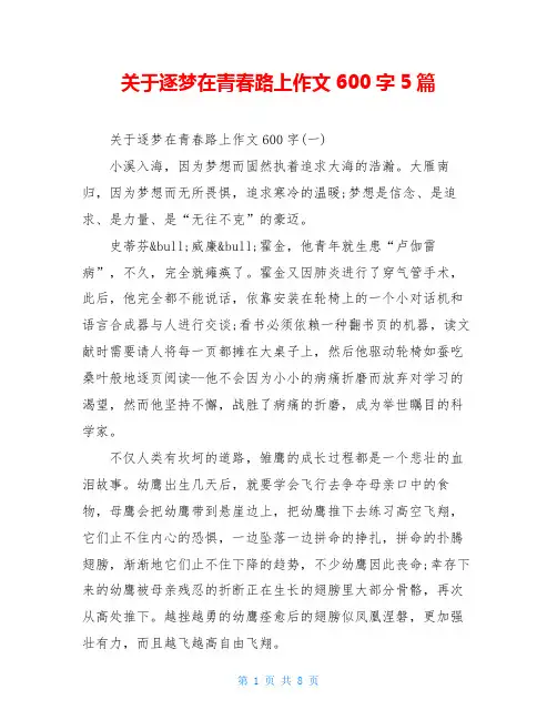 关于逐梦在青春路上作文600字5篇
