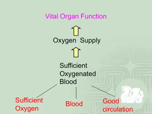 2018年心肺复苏CPR-教学课件英文-文档资料